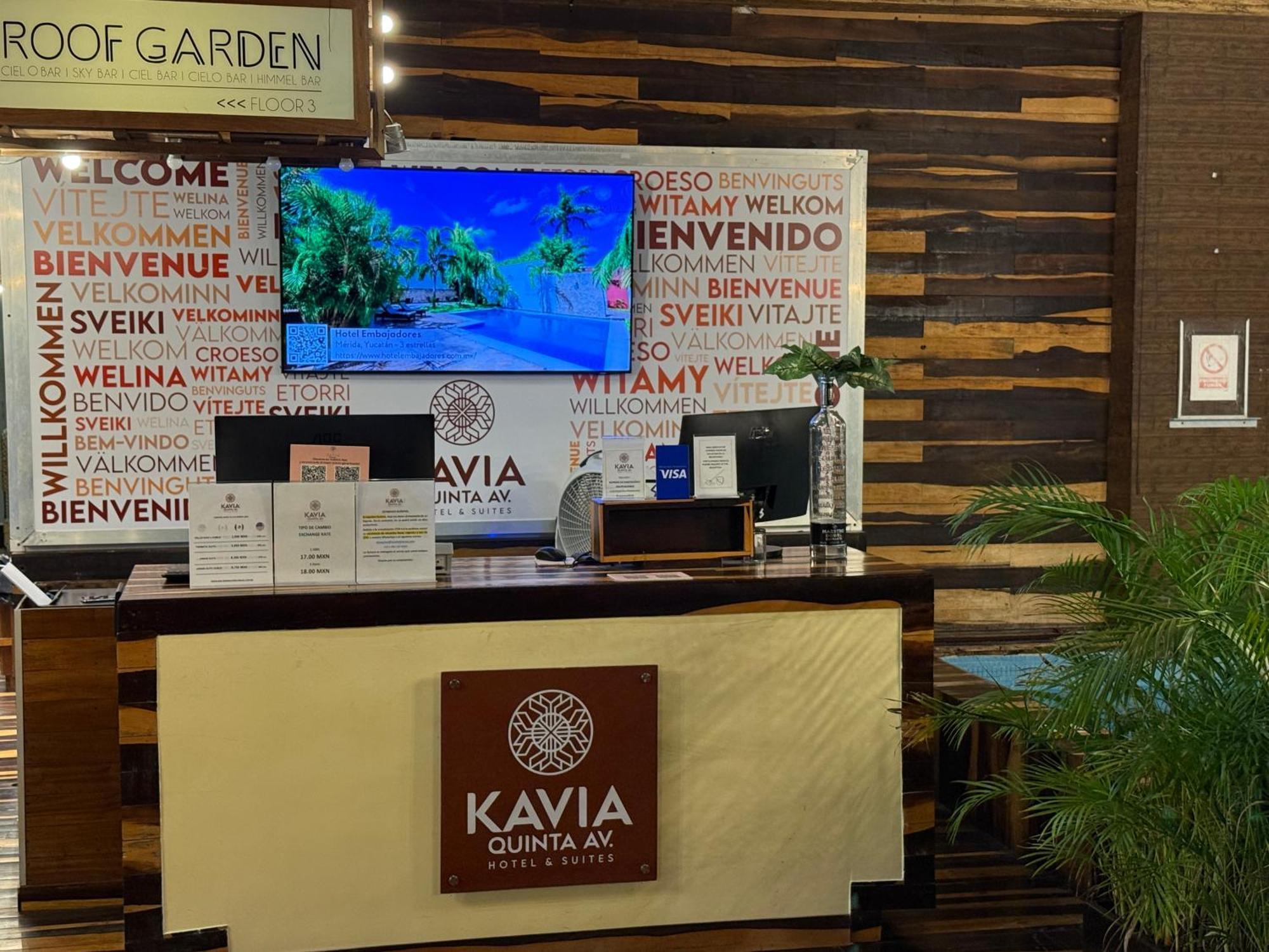 Hotel Kavia 5Th Avenida (Adults Only) Playa del Carmen Ngoại thất bức ảnh